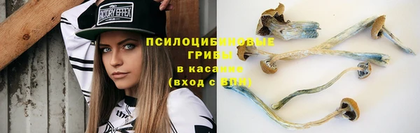 скорость Белокуриха