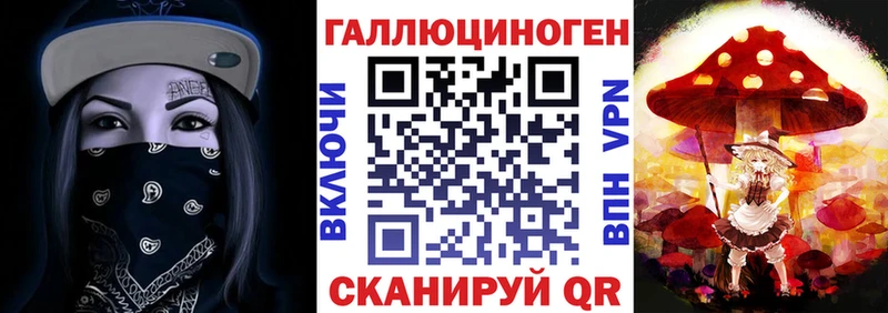 Псилоцибиновые грибы Psilocybine cubensis  Минеральные Воды 
